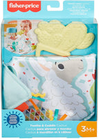 Fisher-Price Teethe and Cuddle Cactus