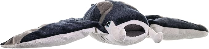 Manta Ray Cuddlekins, Stuffed Animal, 12 inches, Gift for Kids, Plush Toy, Fill is Spun Recycled Water Bottles