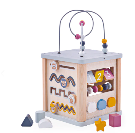 100% FSC Certified Activity Cube