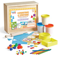 Counting & Sorting Sensory Activity Kit