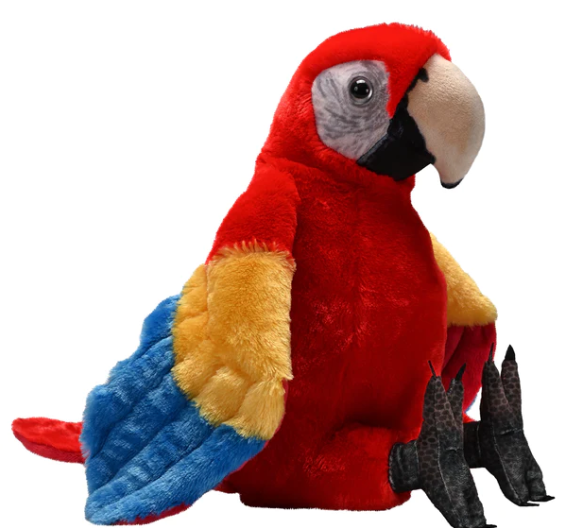 Artist Collection - Scarlet Macaw