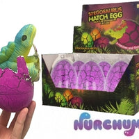 Large Stegosaurus Hatching Egg