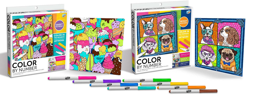 Color by Number Kit