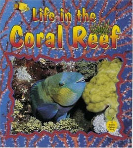 Life In The Coral Reef