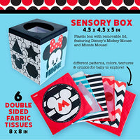 Disney Baby Mickey & Minnie Mouse Black and White High Contrast Tissue Box Toy
