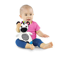 Roll over image to zoom in Baby Einstein Zen the Zebra Sensory Plush Teether Toy, Ages Newborn +
