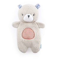 Ingenuity Premium Soft Plush Soothing Bean Bag Lovey - Nate The Teddy Bear, Ages Newborn and up
