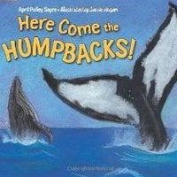 Here Come the Humpbacks