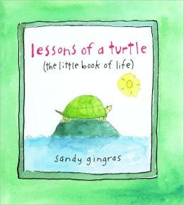 Lessons of a Turtle-The Little Book of Life