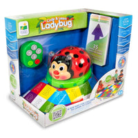 Code & Learn! Ladybug
