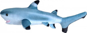 Shark Blacktip